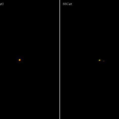 ミラとくじら座66番星
