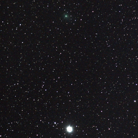 プロキオンとランデブーするラブジョイ彗星