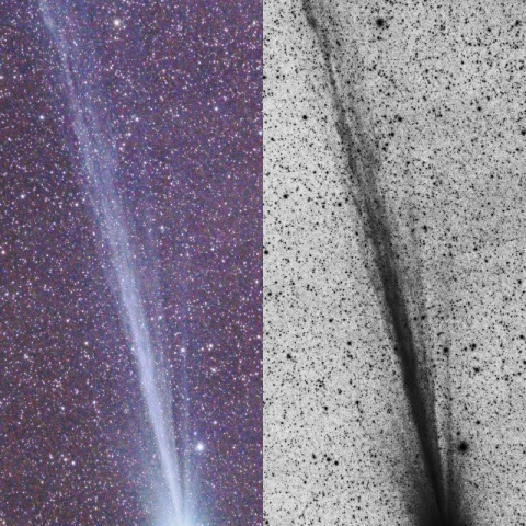 ラヴジョイ彗星(1/20)