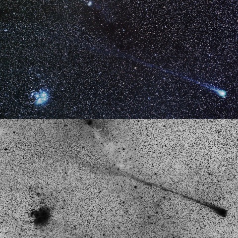 ラヴジョイ彗星とすばる(1/23)