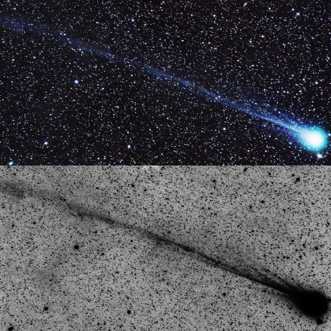 ラヴジョイ彗星(1/23)