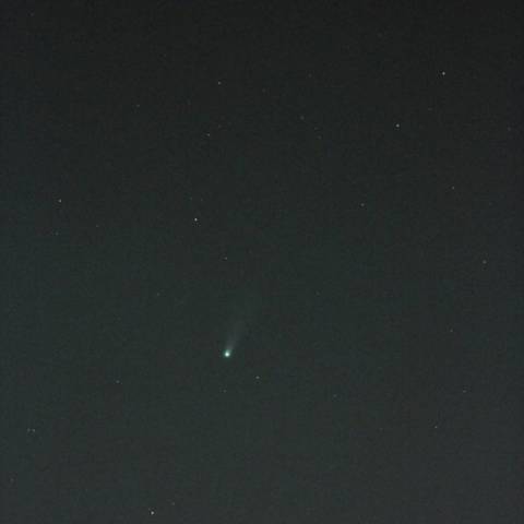 11/21のアイソン彗星