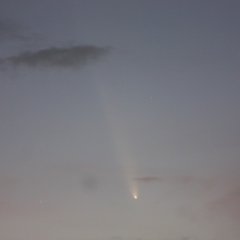 西の夕空に輝く、紫金山・アトラス彗星(C/2023 A3)。