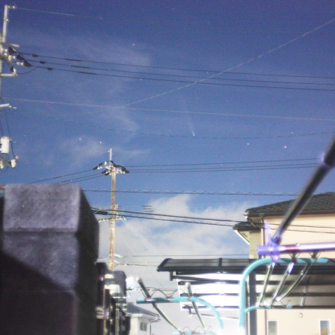 自宅の庭から撮影した、紫金山・アトラス彗星(C/2023 A3)。