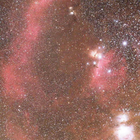 バーナードループ