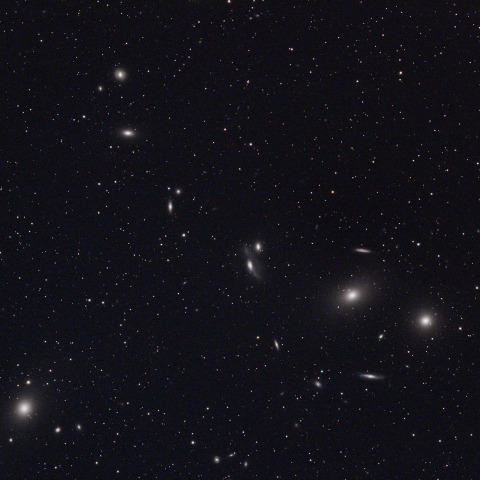 マルカリアンチェーン