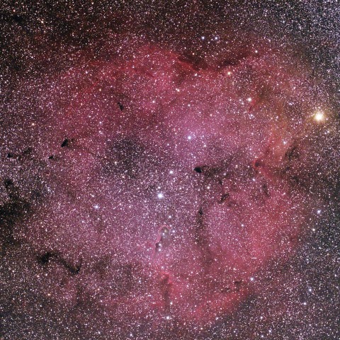 ガーネットスターとIC1396