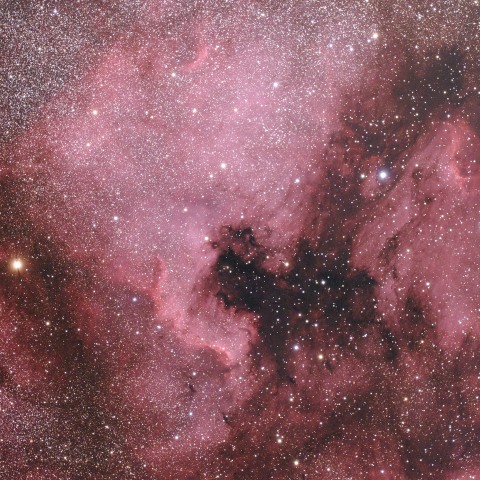 北アメリカ星雲 NGC7000