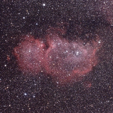 胎児星雲 IC1848