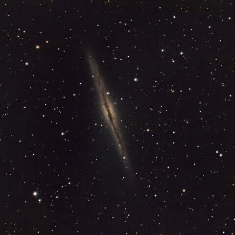 NGC891