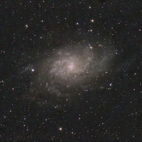 M33