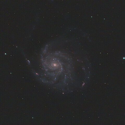 M101