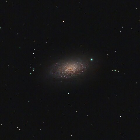 M63