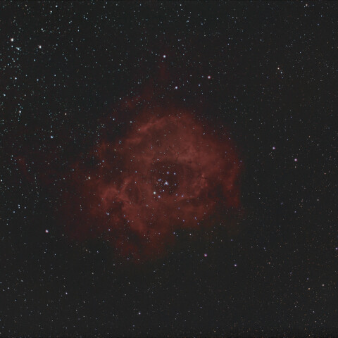 バラ星雲　光害地