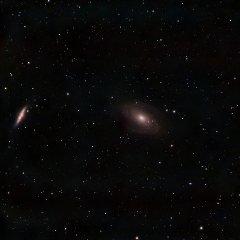 M81