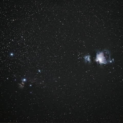 Southern Orion