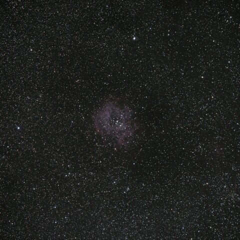 Lonesome バラ星雲