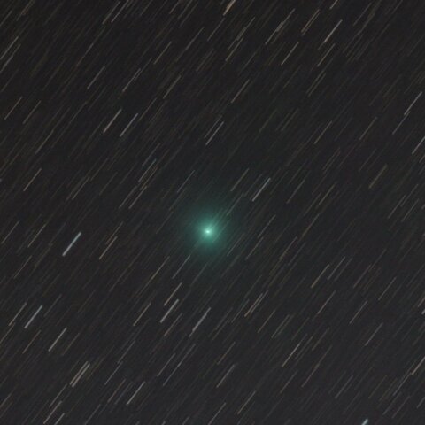 11月14日のレモン彗星
