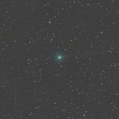 1月12日の紫金山彗星