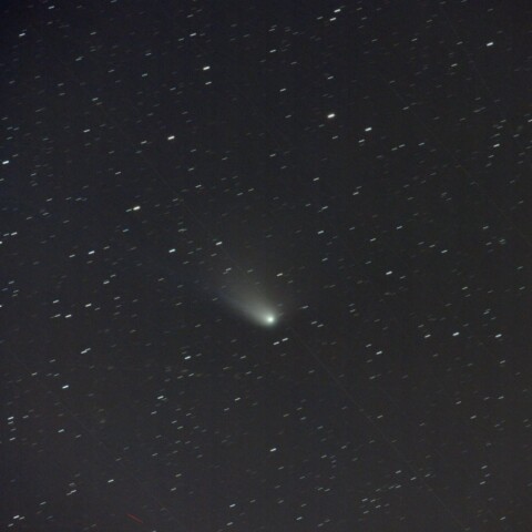 ８月１日のオルバース彗星