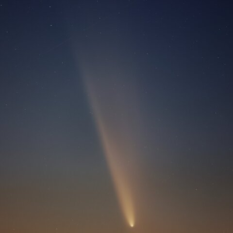 10月13日の紫金山・アトラス彗星　