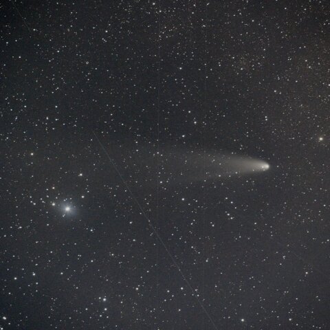 11月19日の紫金山・アトラス彗星　