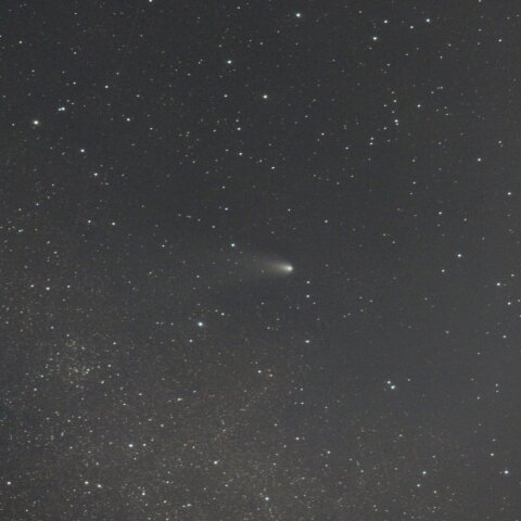 11月28日の紫金山・アトラス彗星　