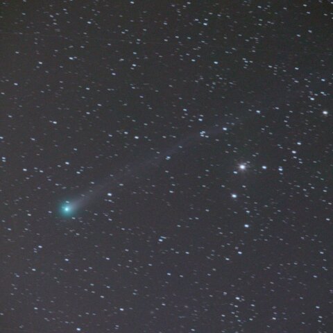 レモン彗星(C/2025 A6)