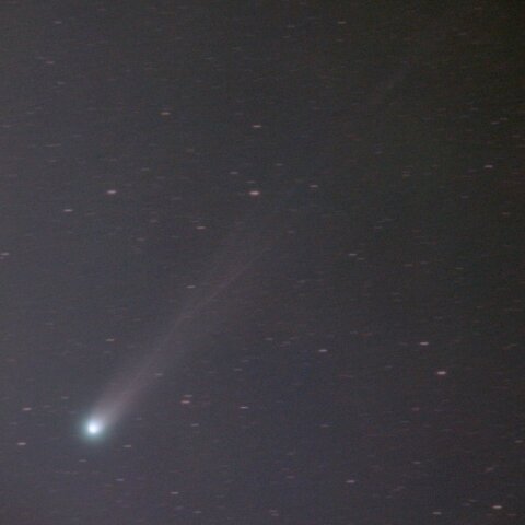 レモン彗星(C/2025 A6)