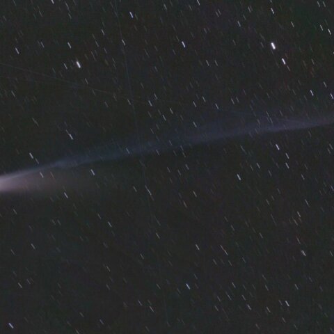 23日のレモン彗星(C/2025 A6)