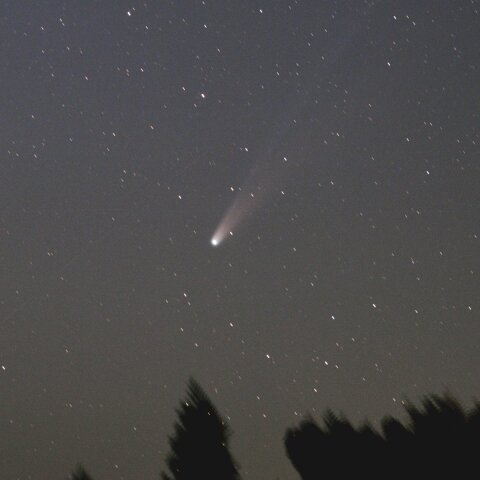 23日のレモン彗星