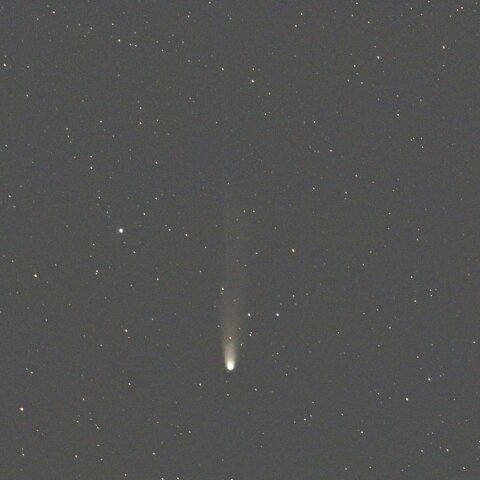 1日のレモン彗星