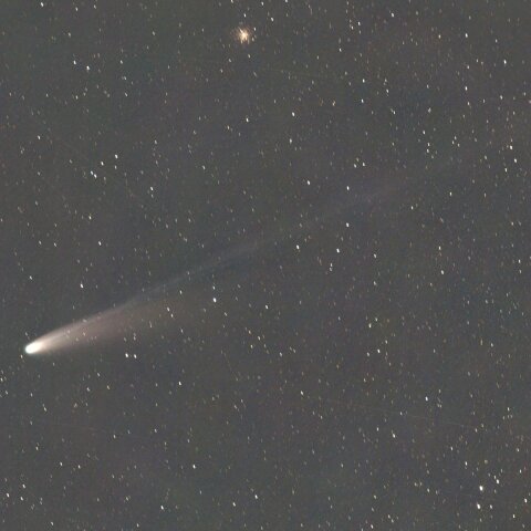 １１月３日のレモン彗星