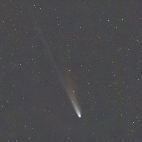 １１月１１日のレモン彗星