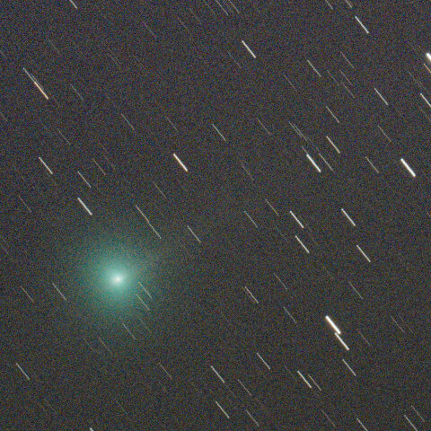 C/2023 H2 レモン彗星　11/3