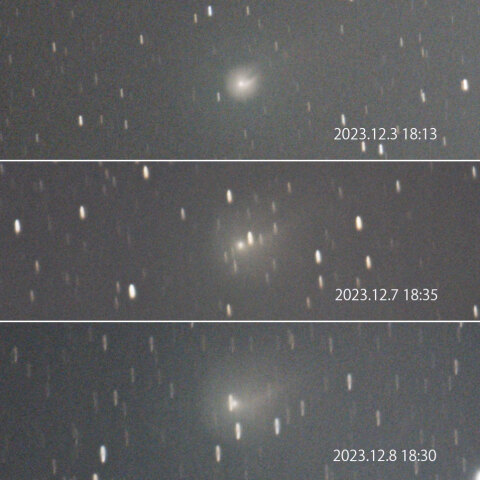 12P ポン-ブルックス彗星 12/3.7.8