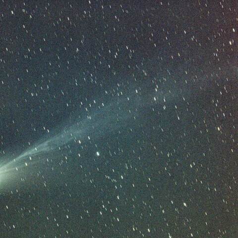 12P ポン-ブルックス彗星 3/13