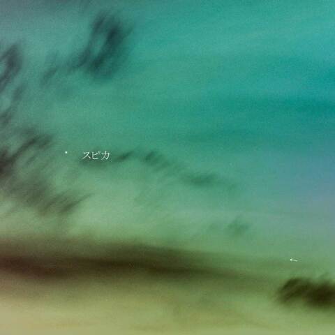 SWAN25B　9/14　(頭部のみ)