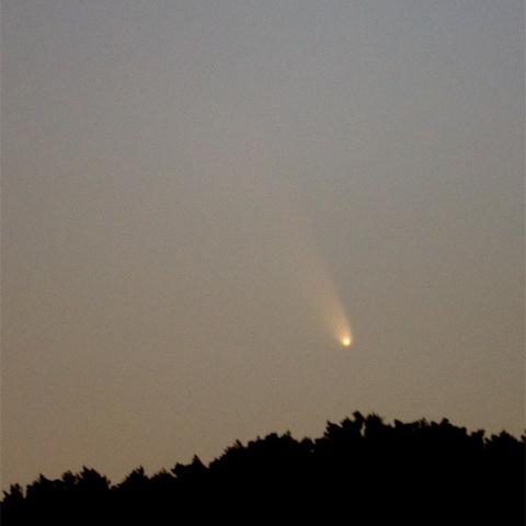 パンスターズ彗星