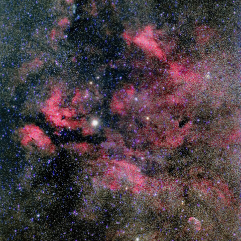 はくちょう座　サドル付近