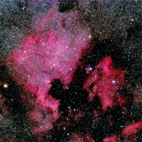 はくちょう座の北アメリカ星雲とペリカン星雲