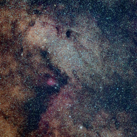 バンビの横顔星雲