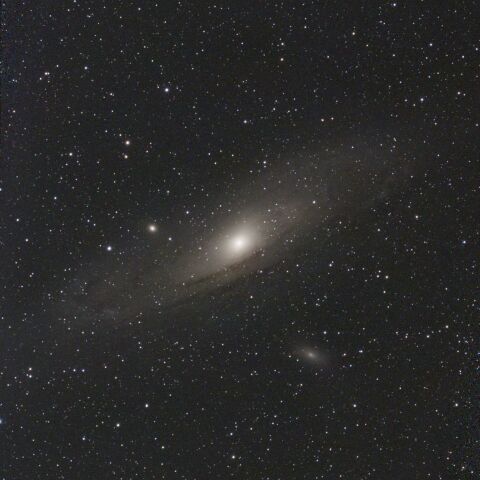 M31