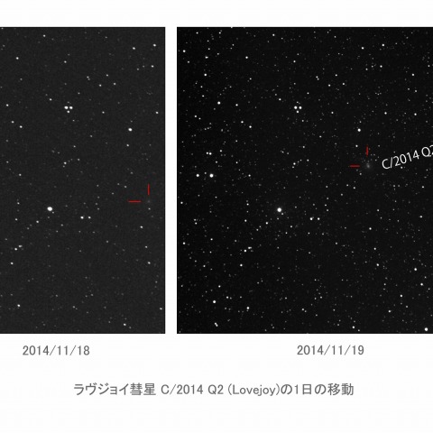 18日から19日にかけてラヴジョイ彗星 C2014 Q2の1日の移動
