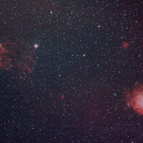 東京都板橋区から　NGC2174 IC443