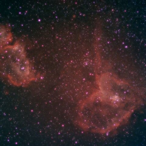 浜松市から　ハート星雲と胎児星雲