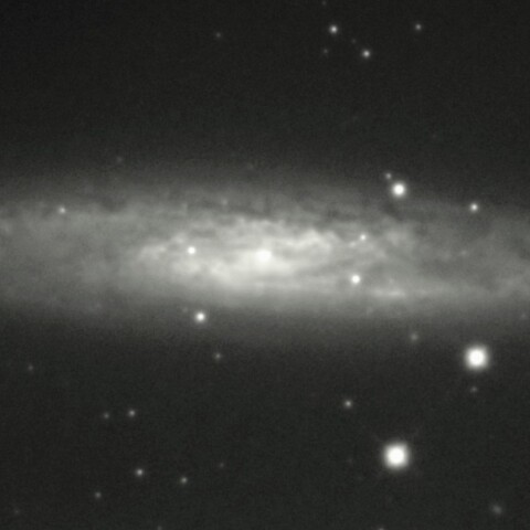 東京都板橋区から　NGC253