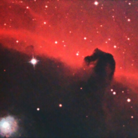 東京都板橋区から　馬頭星雲