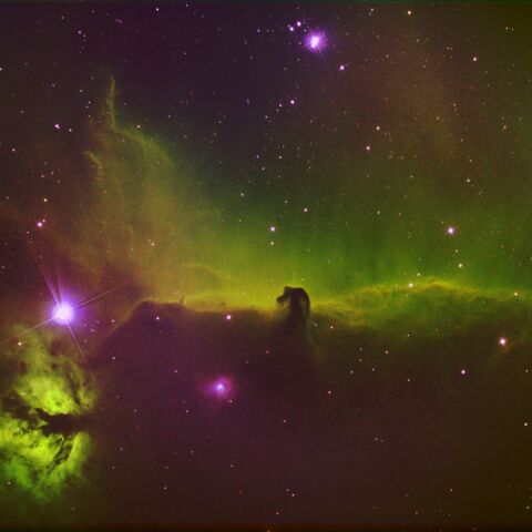 東京都板橋区から　馬頭星雲