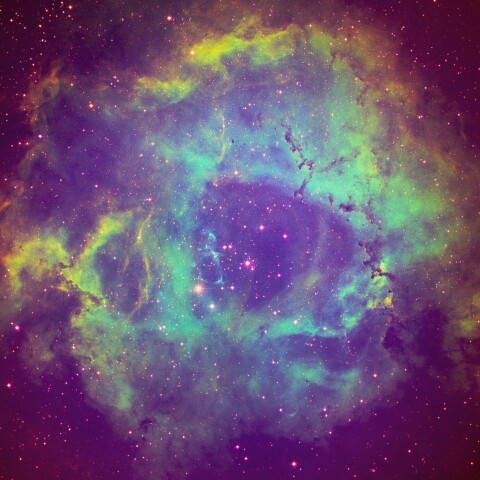 東京都板橋区から　バラ星雲